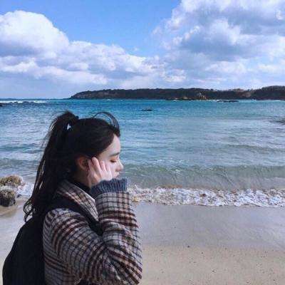 武萌太宗师破解版下载